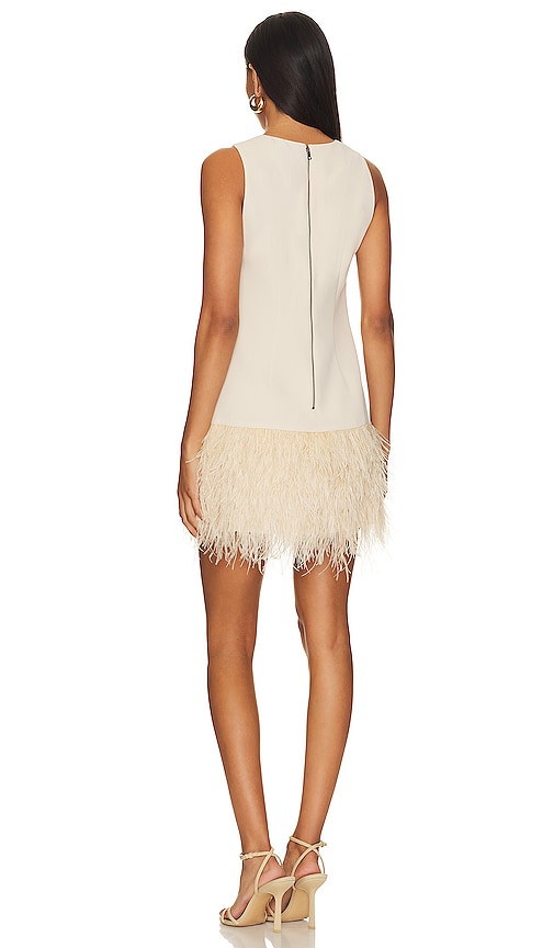 Coley Feather Trim Dress In Champagne