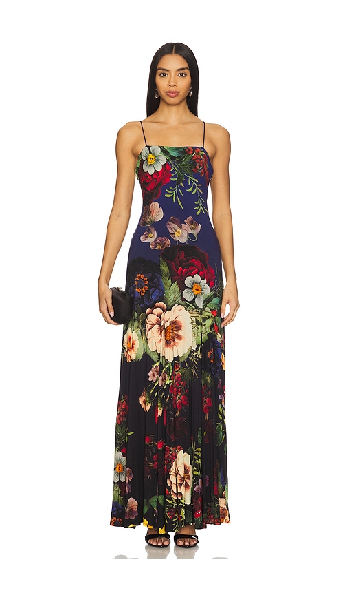 Alice And Olivia Augusta Maxi Dress In Multi