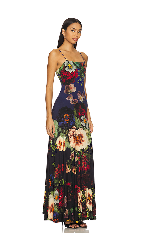 Alice And Olivia Augusta Maxi Dress In Multi