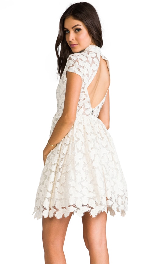 Jayna Lace Open Back Flare Dress