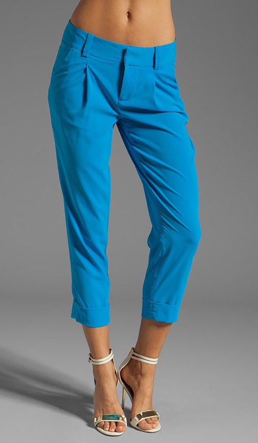 Arthur Pant