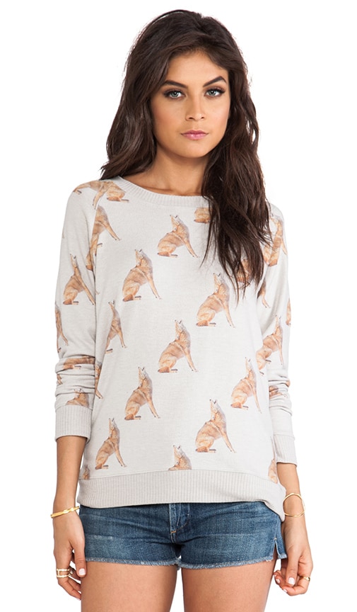 Coyote Cozy Pullover