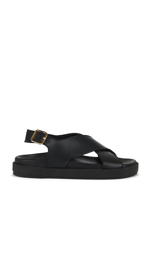 Nico Sandals in . - size 36 (also in 37, 38, 39, 40, 41) - ALOHAS - Modalova