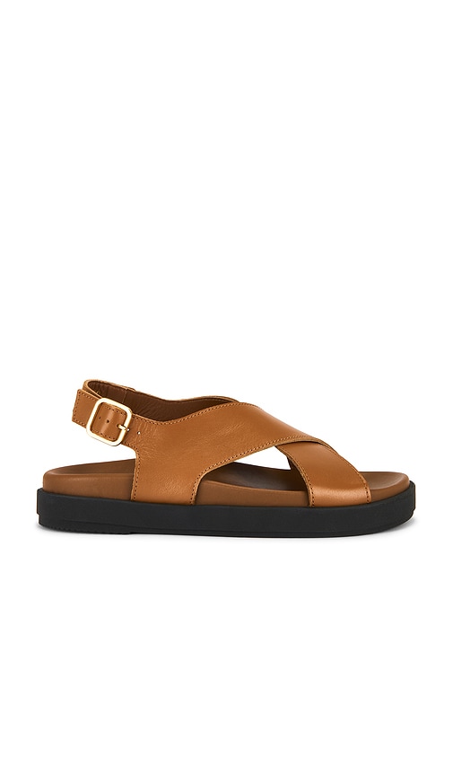 Nico Sandals in . - size 36 (also in 37, 38, 39, 40, 41) - ALOHAS - Modalova