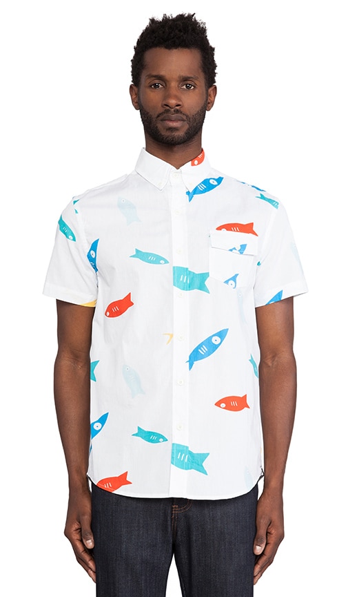 Color Fish Button Up