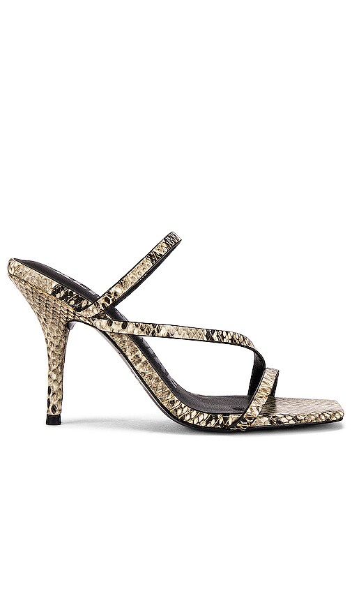Mollie Heel