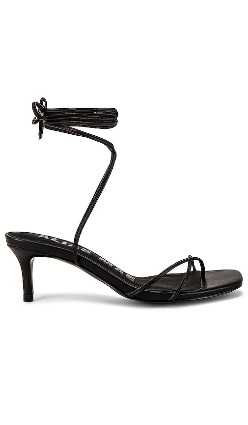Alias Mae Ellery Strappy Sandal in Black Leather | REVOLVE