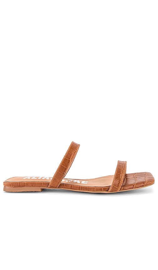 tan croc sandals