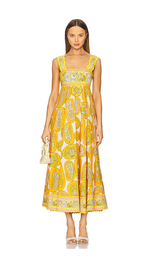 knee length dresses for ladies SPLASH MIDI DRESS