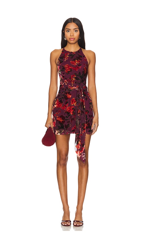 Amanda Uprichard Selah Dress in Sorrel Burnout