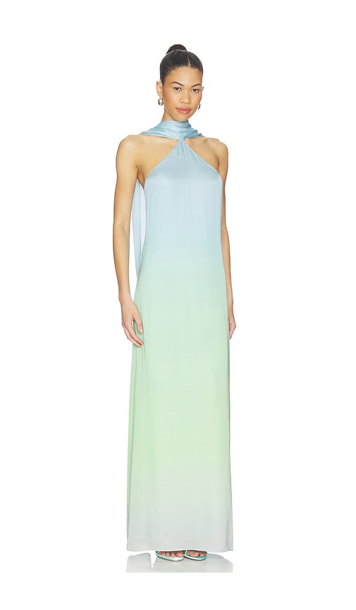 x REVOLVE Ashton Maxi Dress