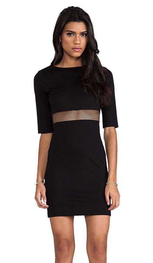 Mesh Sheath Dress
