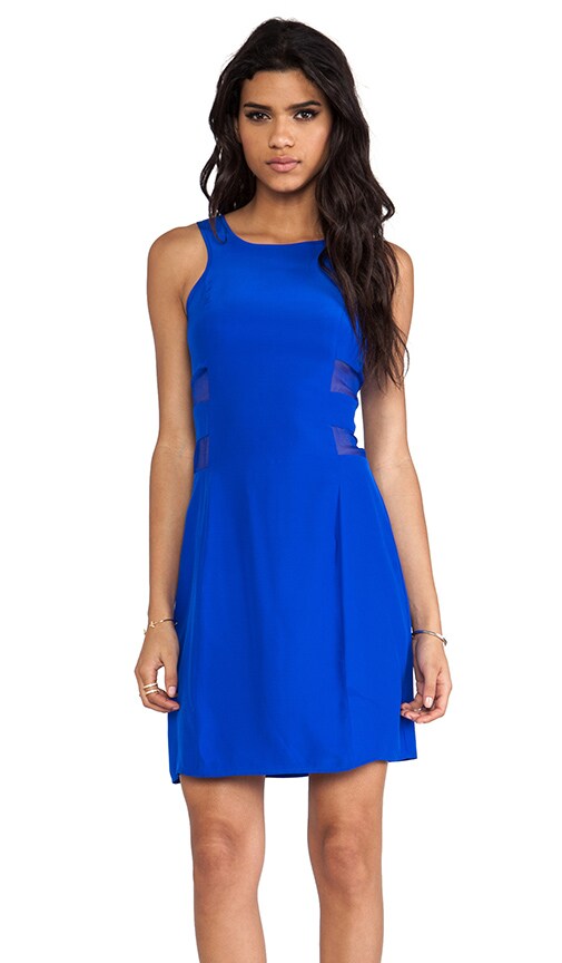 Mesh Sheath Dress