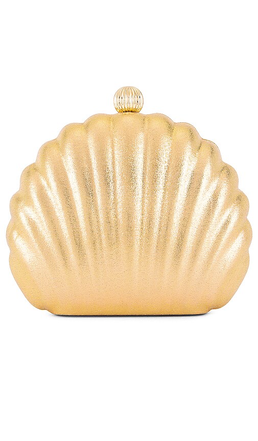 seashell clutch