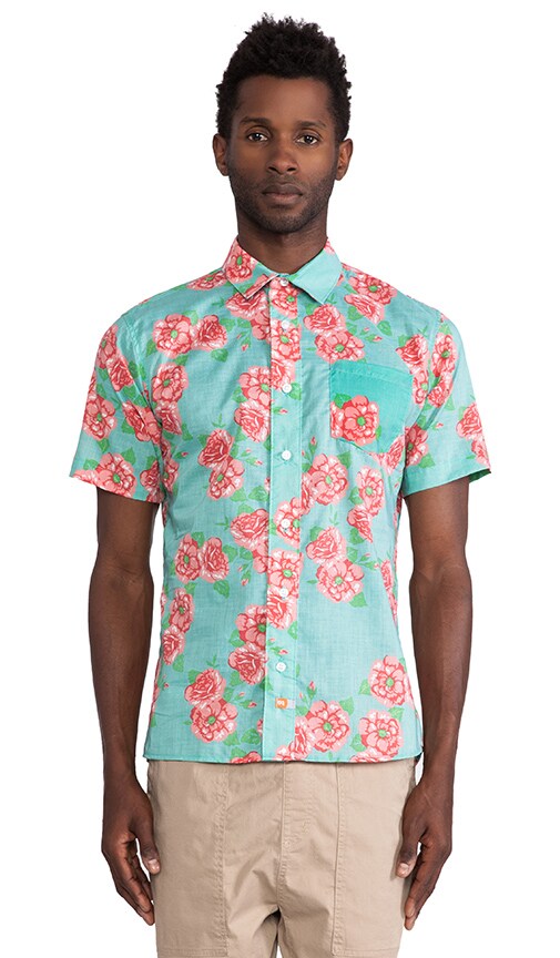Posey Button Down