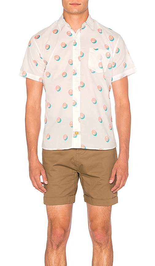 camisa de botones