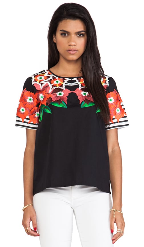 England & Scotland Top
