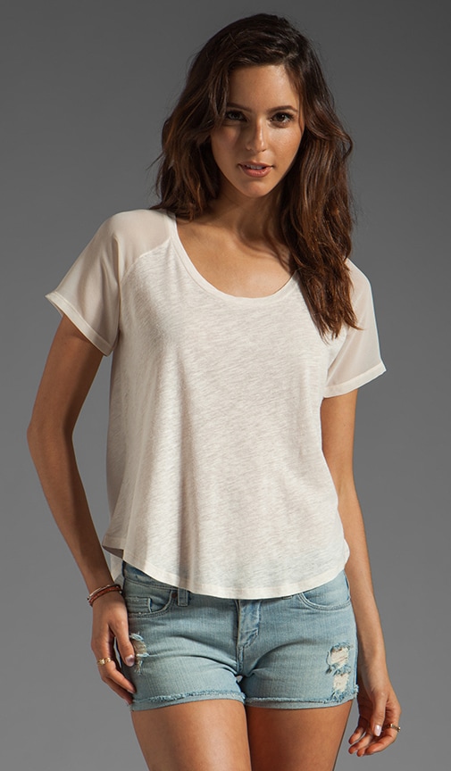 Cotton Wood Top