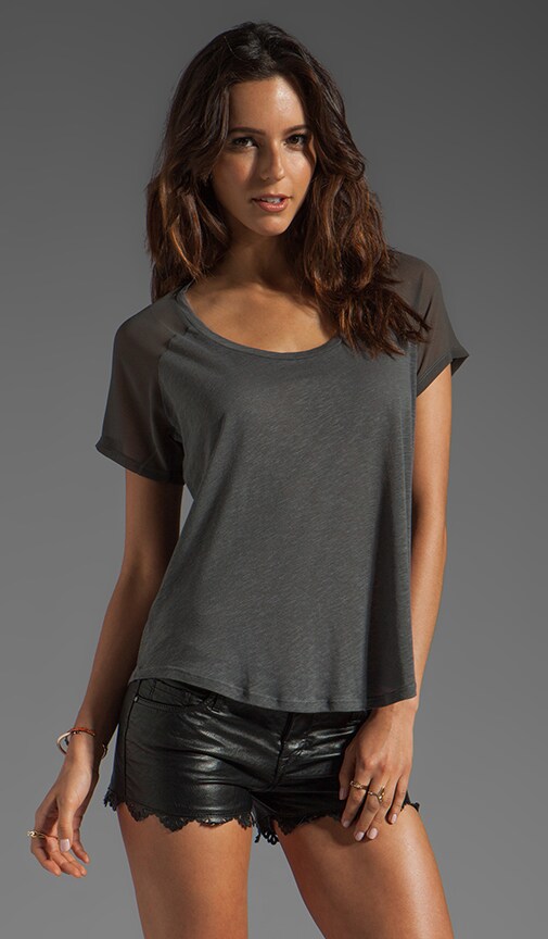 Cotton Wood Top