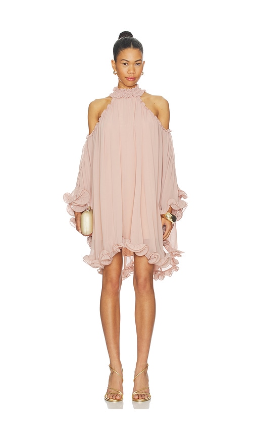 Aniye By Tessa Mini Dress