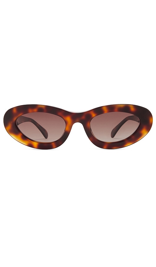 Shop Anine Bing Roma Sunglasses In Tortoise