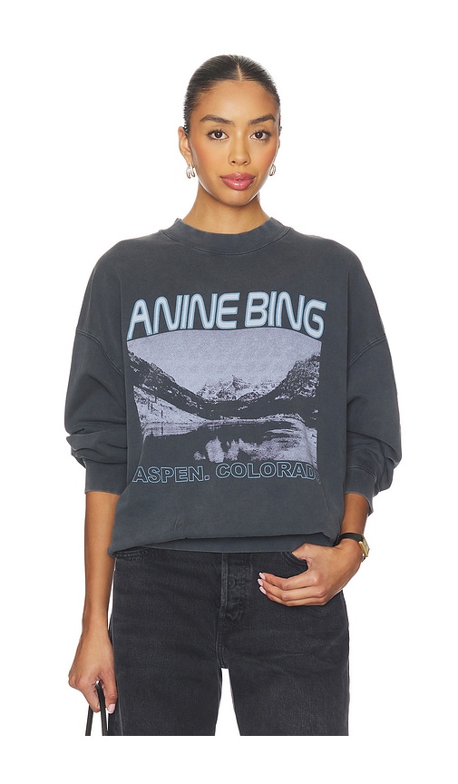 Anine Bing X Revolve Jaci Sweatshirt In Gray