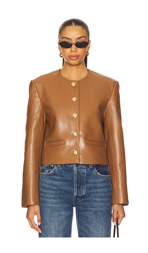 Anine Bing Amber Jacket In Brown