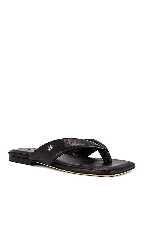 Shop Anine Bing Viola Flat Sandals In 黑色