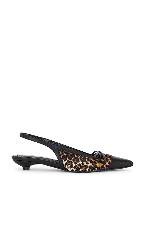 Anine Bing Zoey Leopard-print Slingback Ballet Flats In Brown