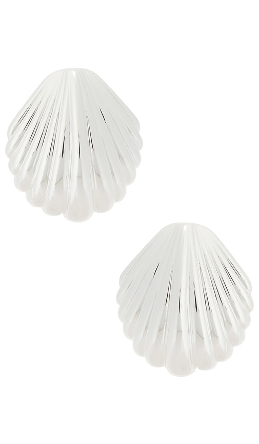 Silver Shell Earring in Metallic Silver.