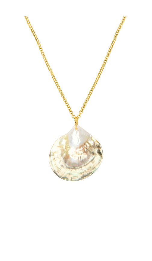  Anni Lu Golden Shell Necklace In Metallic Gold. 