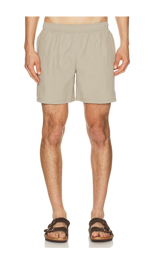 Auto-reply™ 5.5 Solid Sebastian Swim Trunk In Neutral