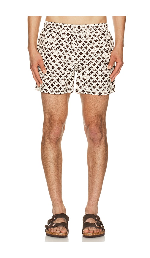 4 Printed Sebastian Swim Trunk in Cream. - size XL/1X (also in S, M, L)