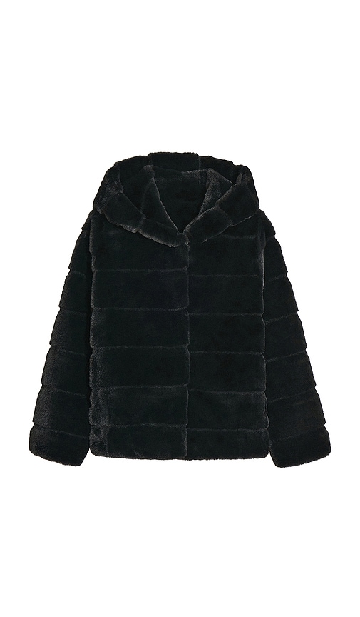Apparis Goldy Kids Coat