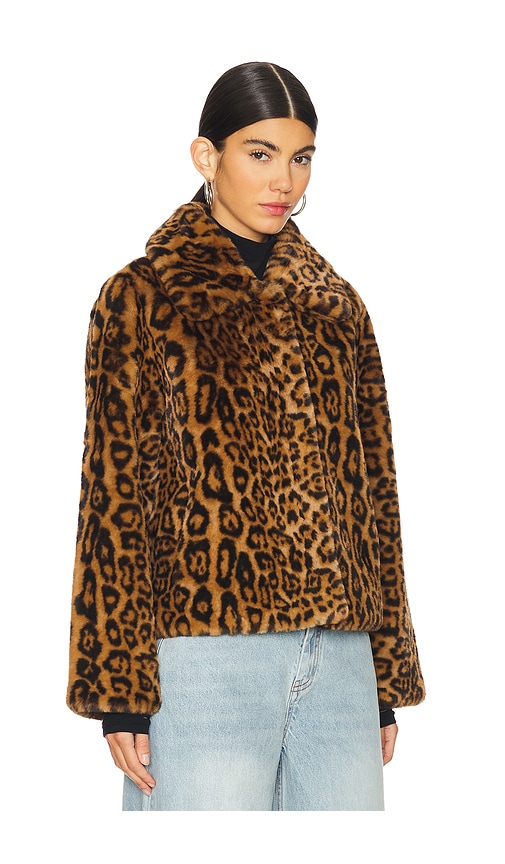  Apparis Kurzmantel Elis Leopard In Brown. Größe Xs. Also In Xxs, S, M, L. 