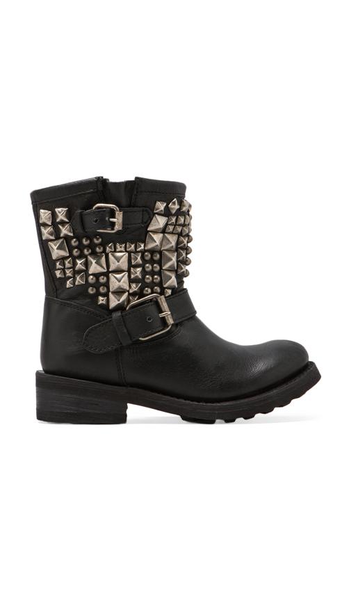 Tyler Ter Boot