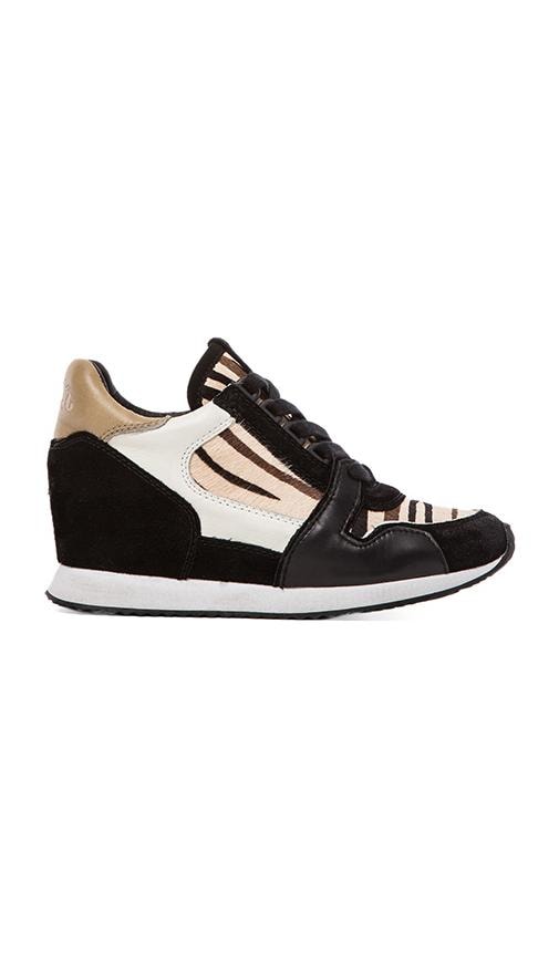 Dean Sneaker