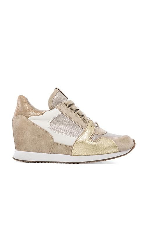 Dean Sneaker