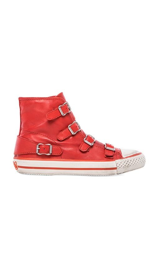 Virgin Sneaker