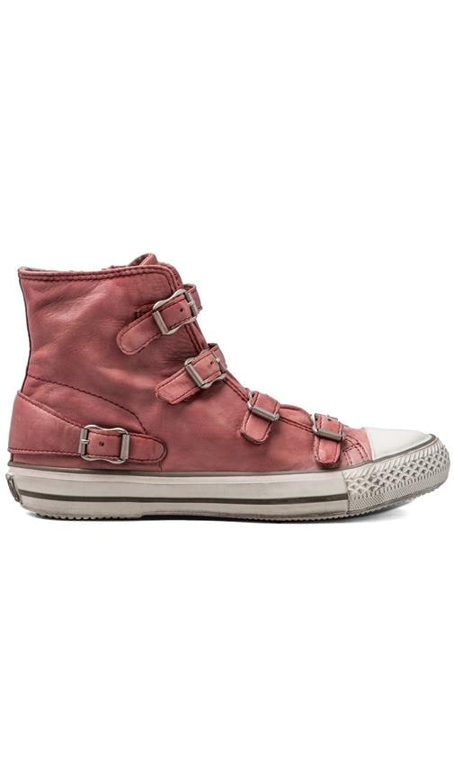 Virgin Sneaker