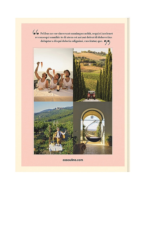 Assouline Wine & Travel Italy In Multi