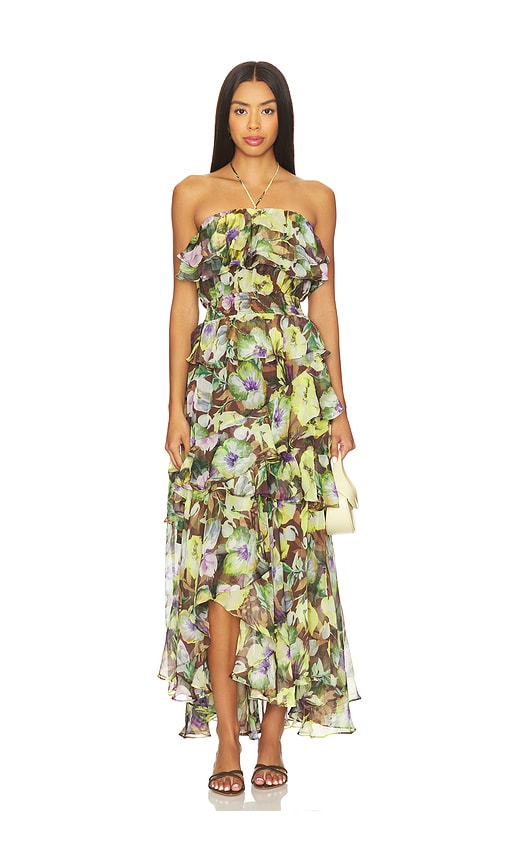 Astr The Label Elena Floral Print Chiffon Halter Dress In Multi