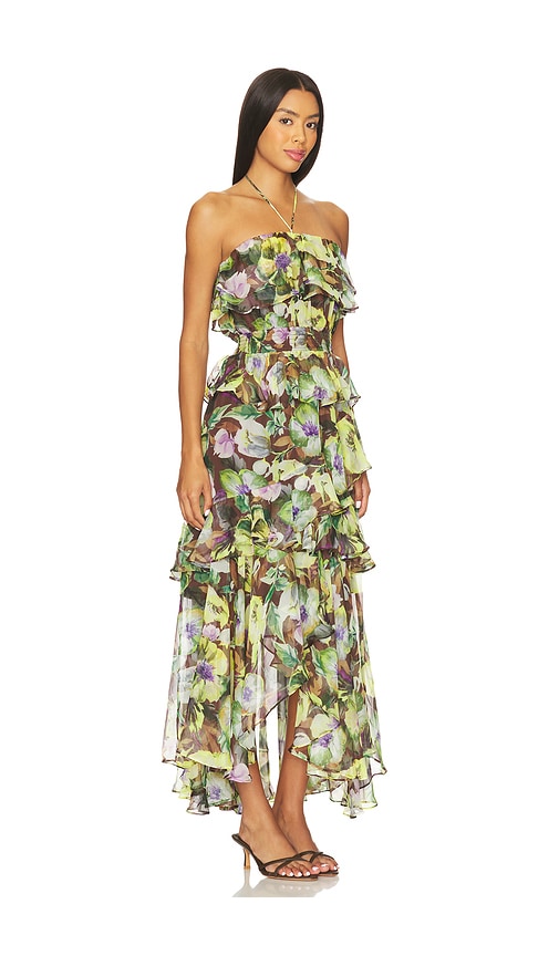 Astr The Label Elena Floral Print Chiffon Halter Dress In Multi