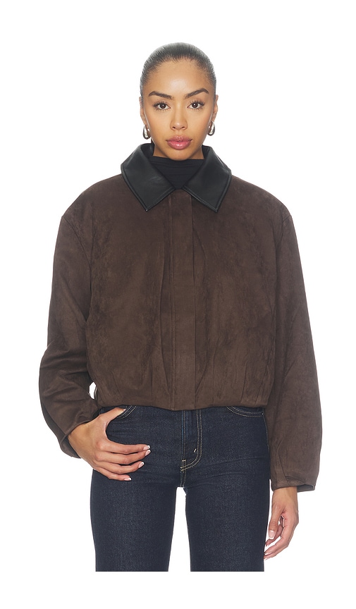 Raevin Jacket by Astr The Label in Espresso