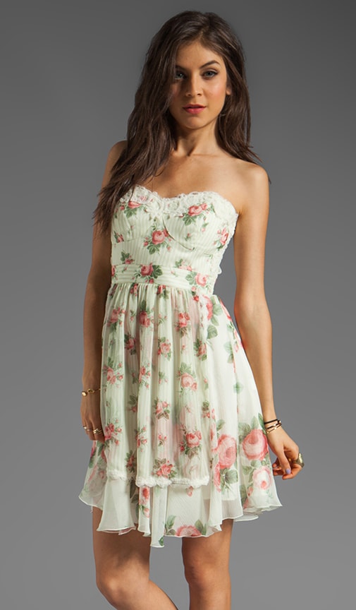 Cabbage Rose and Rosebud Stripe Print Crinkle Chiffon Dress