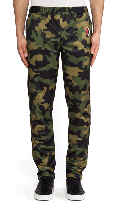 Stallion Pant