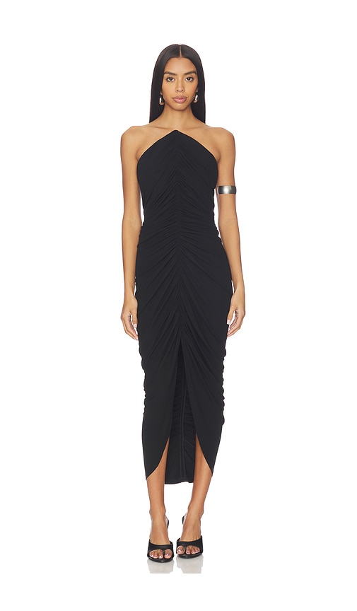 Alexander Wang Structured Bodice Midi Dress in Black