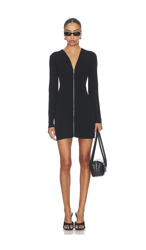 Alexander Wang Continuous Zipper Mini Dress