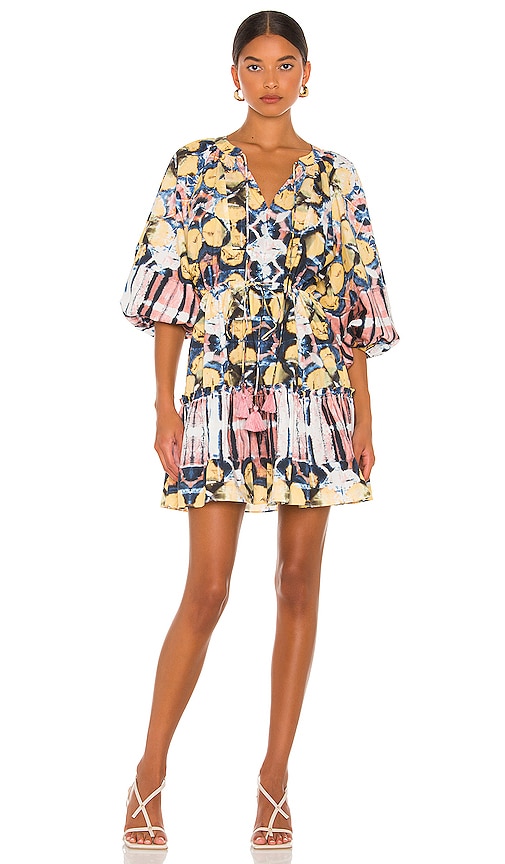 Alexis Kasi Dress in...