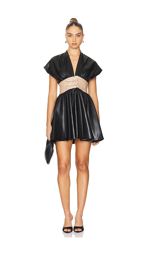 Shop Alexis Berlin Dress In Black